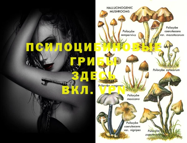 экстази Заволжье