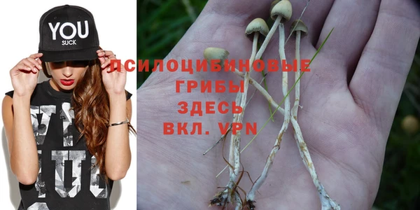 экстази Заволжье