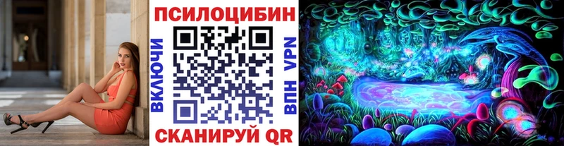 Купить где  Лахденпохья  Псилоцибиновые грибы мухоморы 